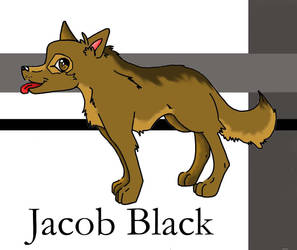 Jacob Black-pup