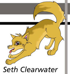 seth clearwater-pup