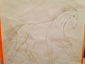 Horse