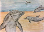 Karen's dolphins cove