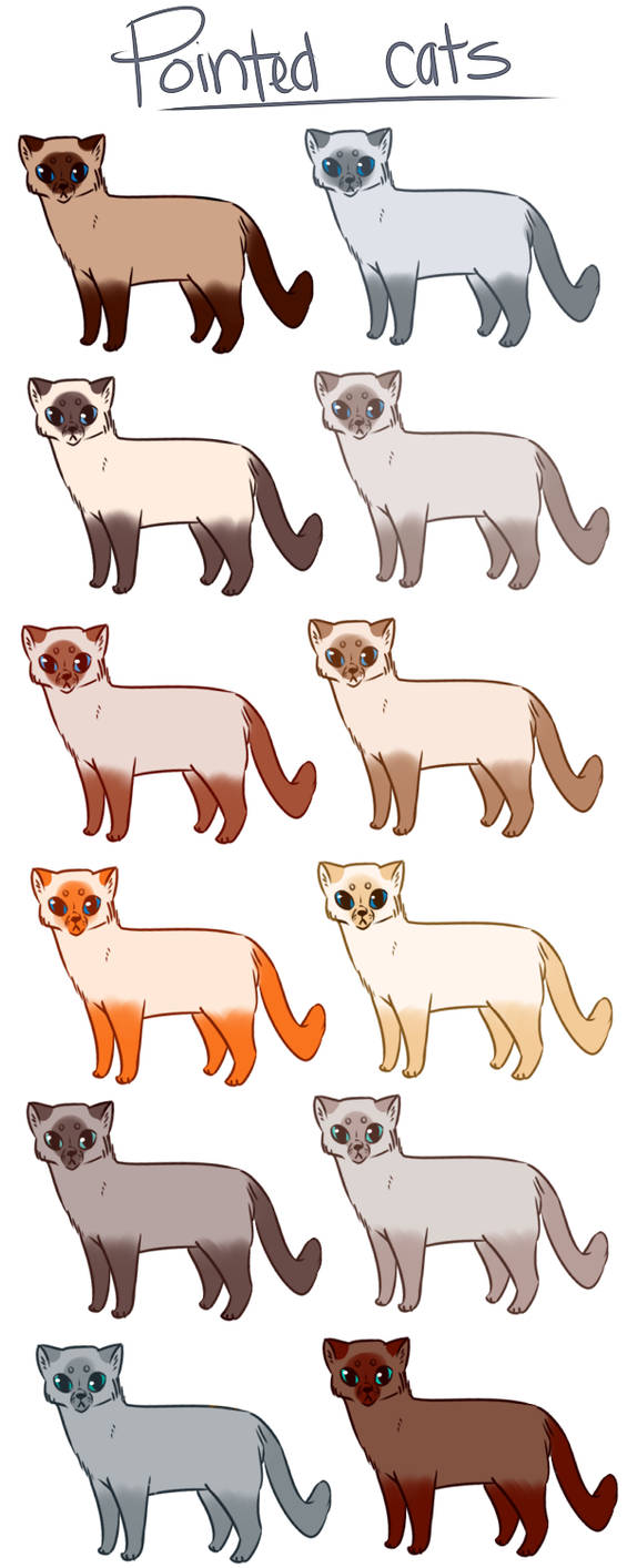 Point Cat Pattern Pointed Cat Designs by PatchyFallenstar on DeviantArt