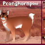 Pronghornpaw