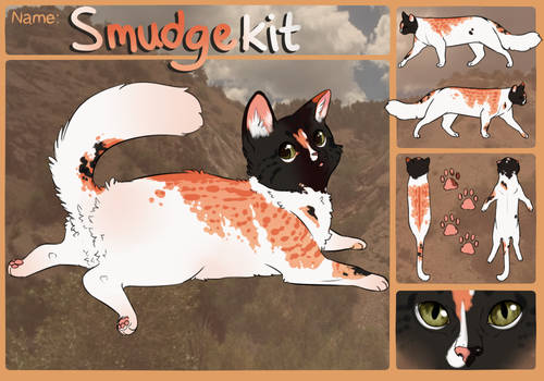 Smudgekit