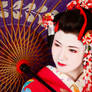 Maiko 3