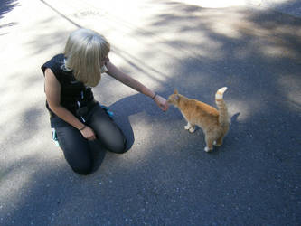 Mello and the Kittie