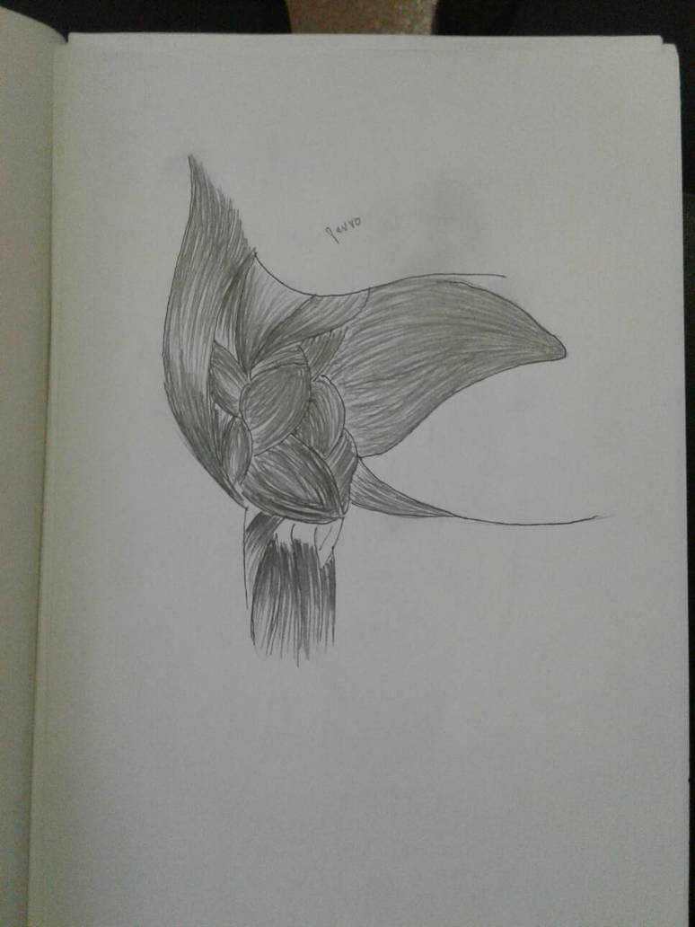 Doggo front leg muscles by AshenRonin7 on DeviantArt