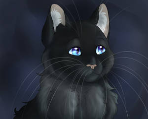 Cinderpelt