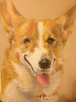 Pet Portrait: Ein