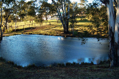 Windy Lake