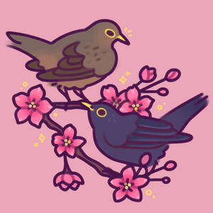 / Spring Blackbirds /