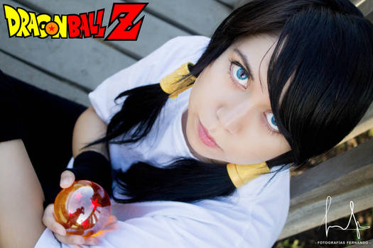 Videl Dragon Ball Z