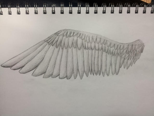 My Drawing Of An Angel Wing By Fire Cutest Wolf On Deviantart