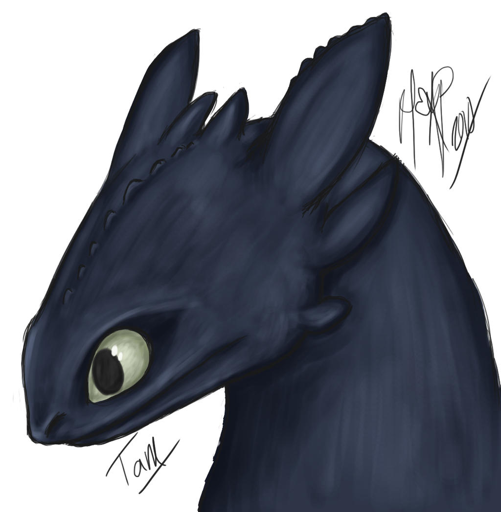 HTTYD - Toothless