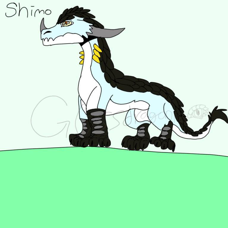 Shimo by glissdragon12 on DeviantArt