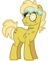 Pony!spring trap with a flower crown