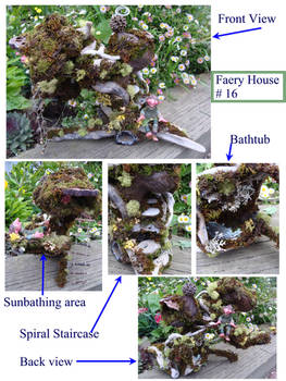 Faery House 16