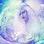 The white angel