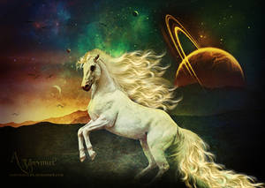 Horse 3 by annemaria48 Horse 3 by annemaria48