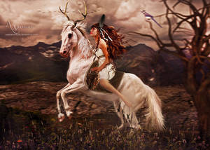 Horse Contest by annemaria48 Horse Contest by annemaria48