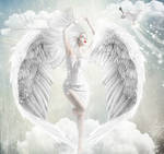 The fairy Angel