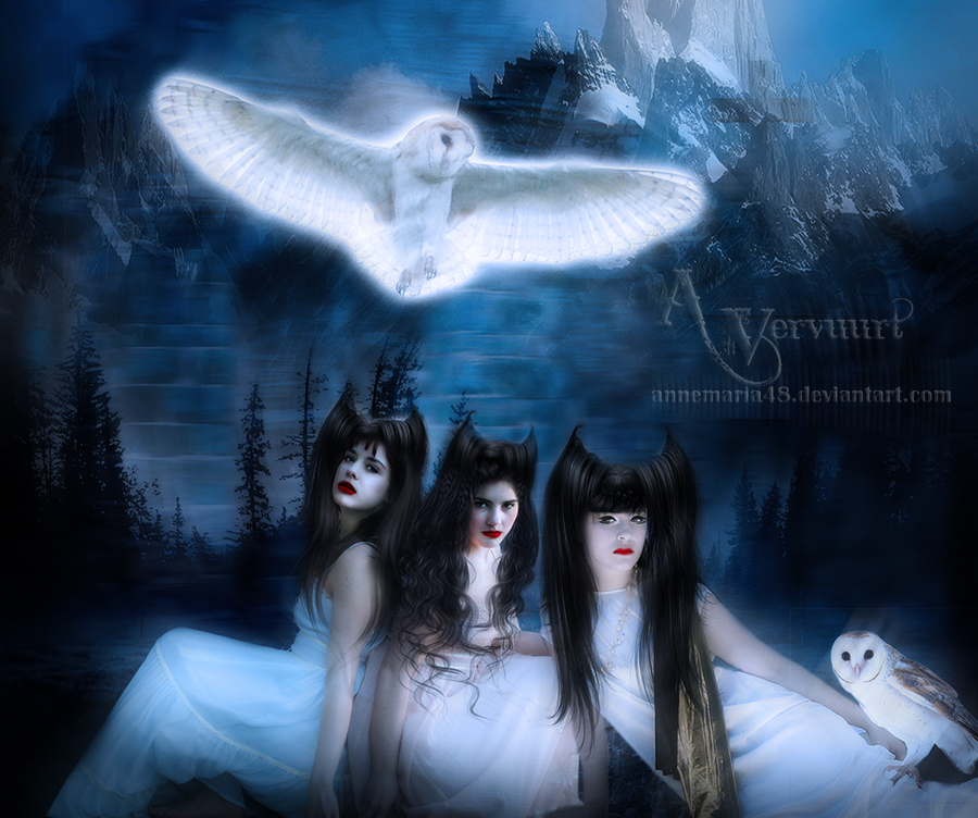 Tree Sisters by annemaria48
