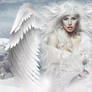 White Angel 2020 x