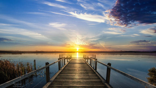 The Wooden Pier