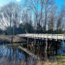 The beauty bridge amsterdamse bos