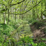 amsterdamse bos amstelveen