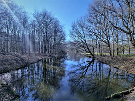 Reflection beauty