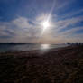 Almeerder beach Almere Poort Netherlands