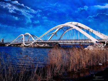 Bridge IJburg Amsterdam Noord  Netherland