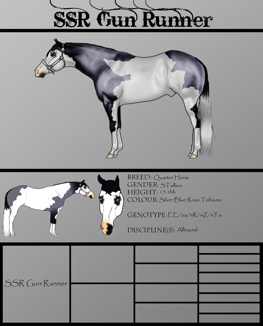 .:SSR Gun Runner-7 Time Hall Of Fame Stallion:.