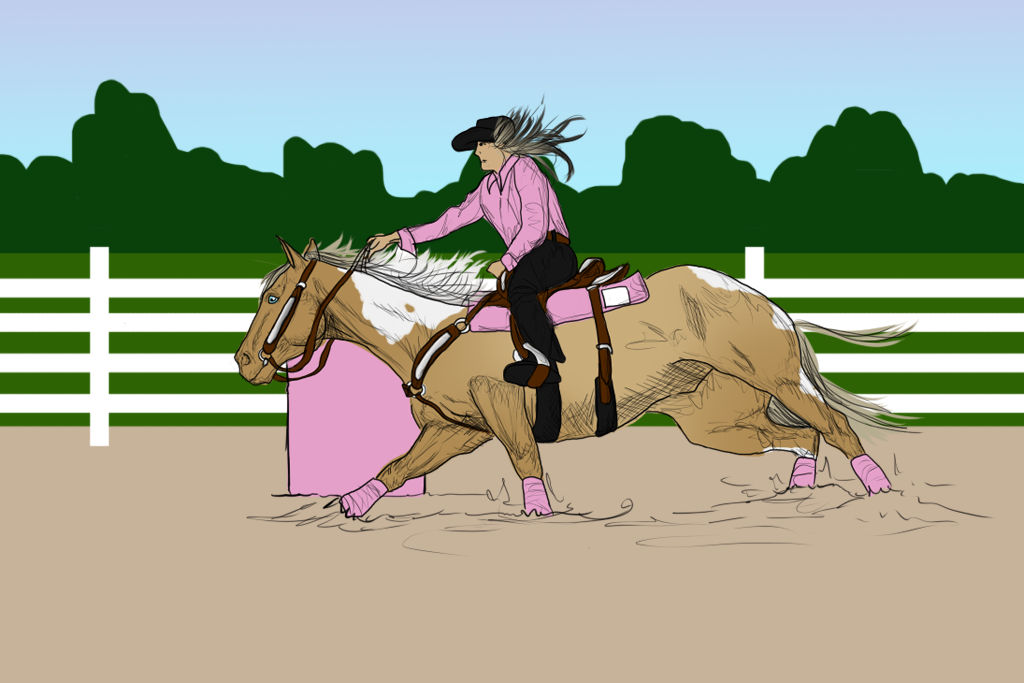 Holly - Barrel Racing by Shining-Spurs-Ranch on DeviantArt