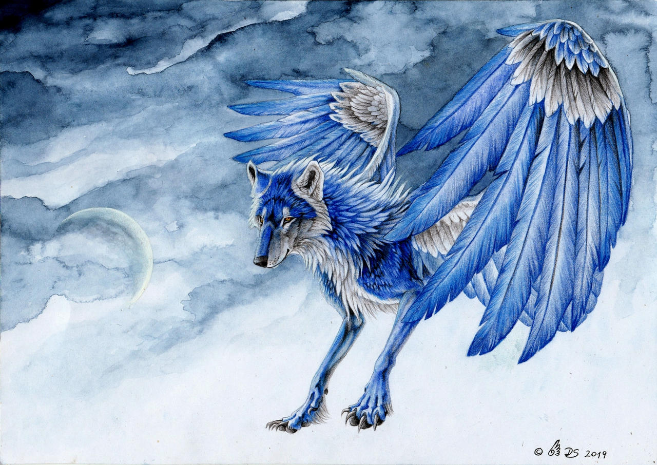 Blue Wolf by Drachenseele on DeviantArt