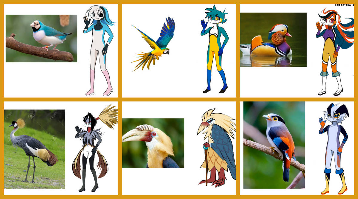 Deviantart Bird Designs Random Snoworldeans based on birds designs by LoulouVZ on DeviantArt