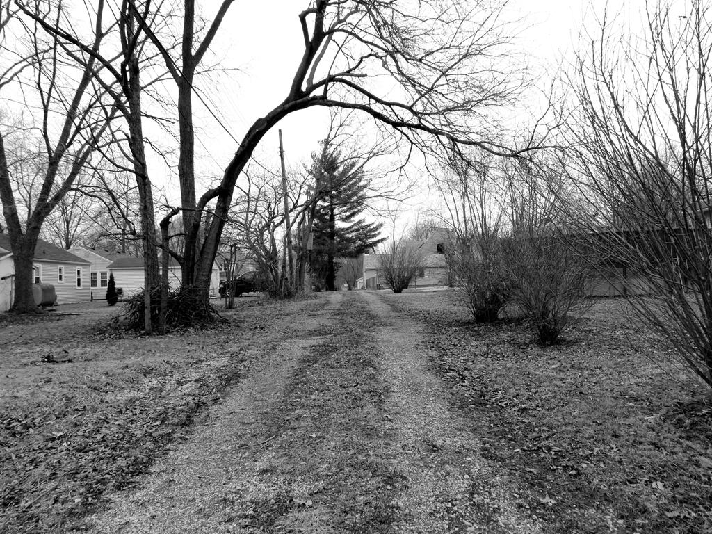 The Road Not Taken by AMartin17 on DeviantArt