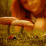 The little world