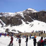 Snow at Rohtang