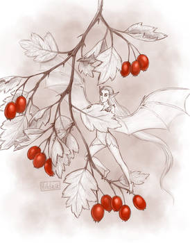 Hawthorn fairy