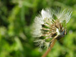 Sway by x-Rainayy-xx