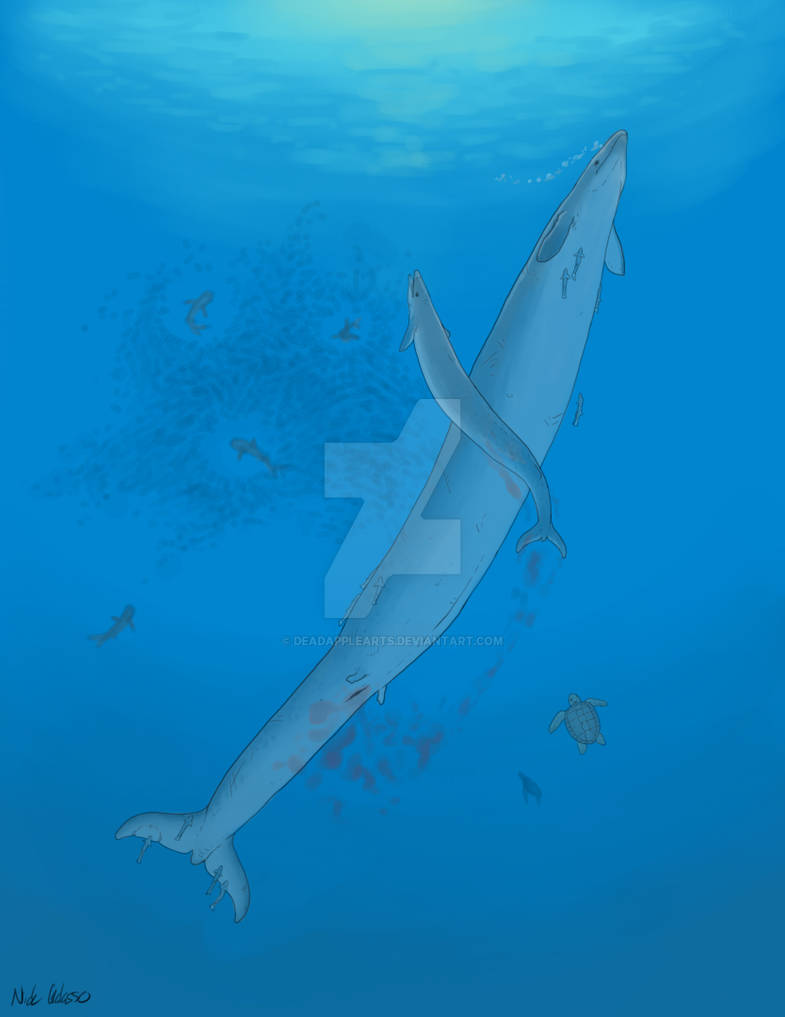 Basilosaurus Deviantart Birth of the Basilosaurus by DeadAppleArts on DeviantArt