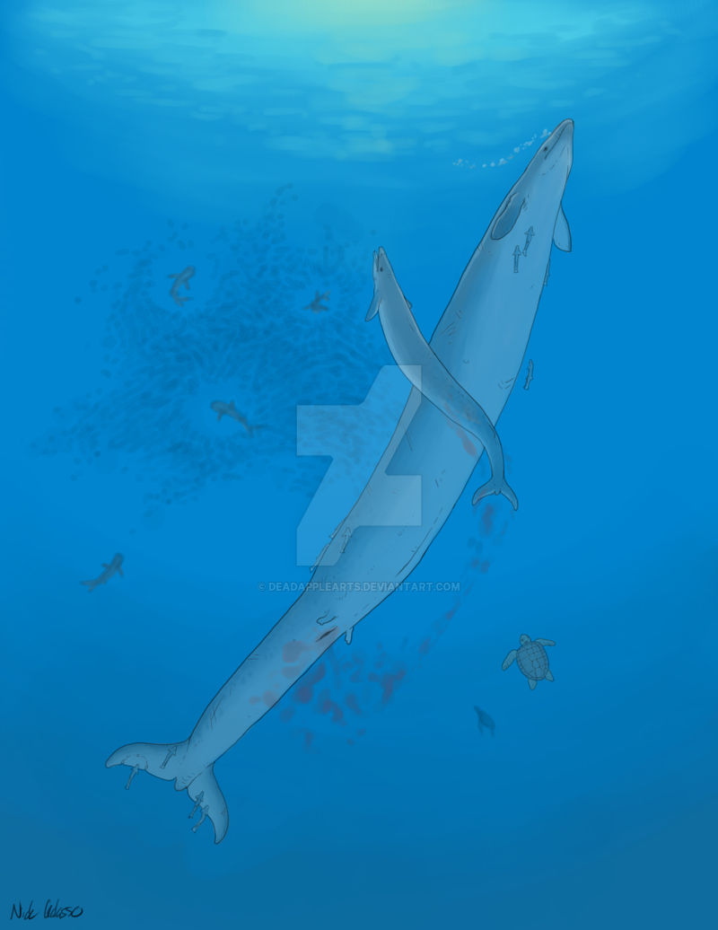 Basilosaurus Deviantart Birth of the Basilosaurus by DeadAppleArts on DeviantArt
