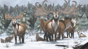 Megaloceros