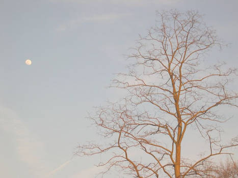 Night Sky during Day Light