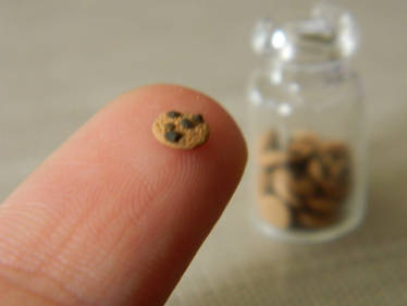 Itty Bitty Cookie