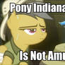 Daring Do LOL pic