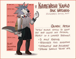 BnHA OC