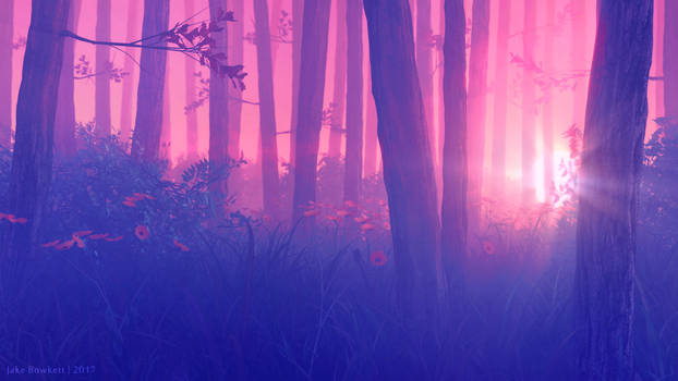 Forest Sunset
