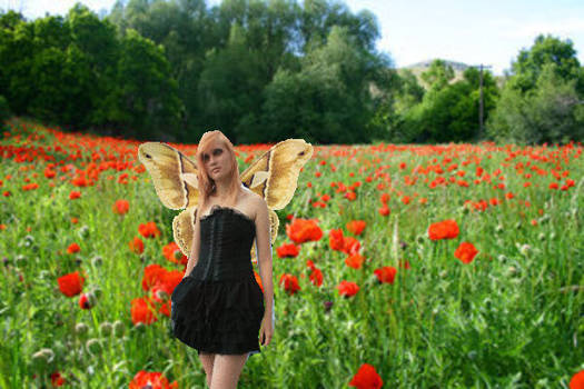 Fairie in a feild